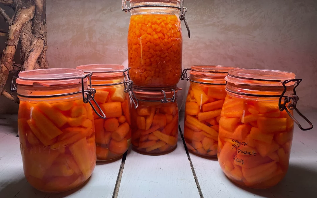 En 2026, des carottes en pagaille !