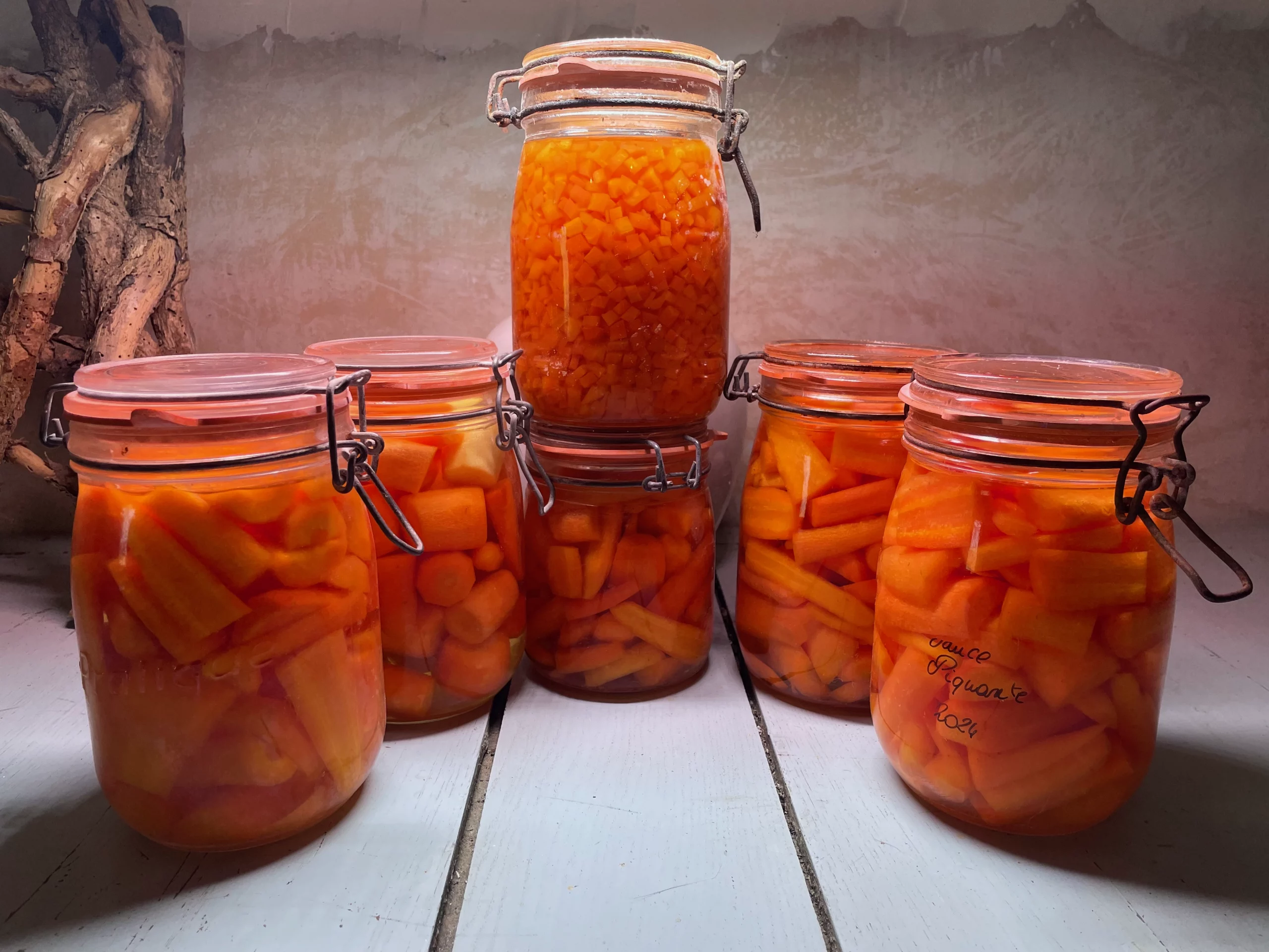 En 2026, des carottes en pagaille !